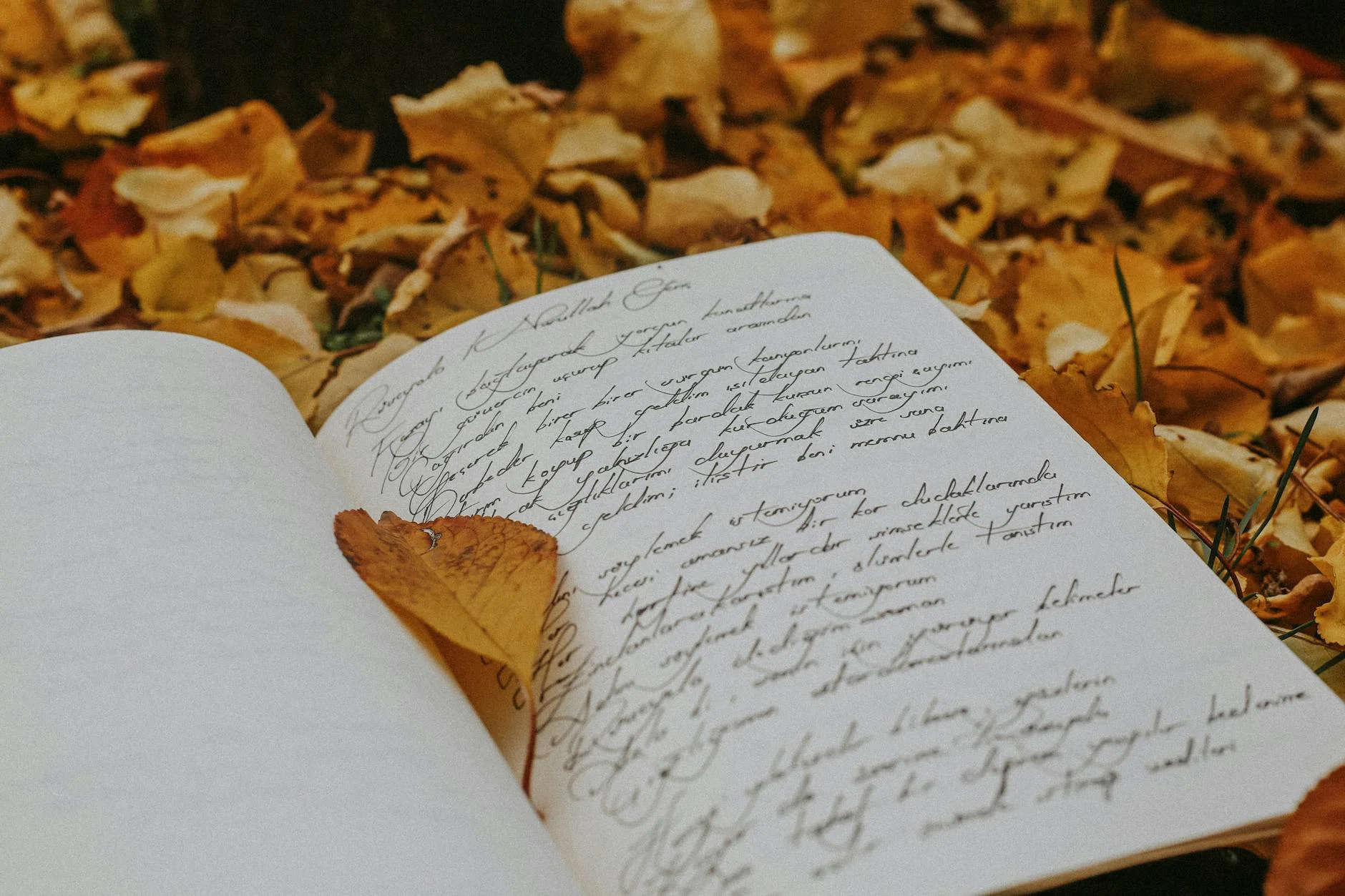 Beste dankbaarheidsdagboek: top journals vergeleken