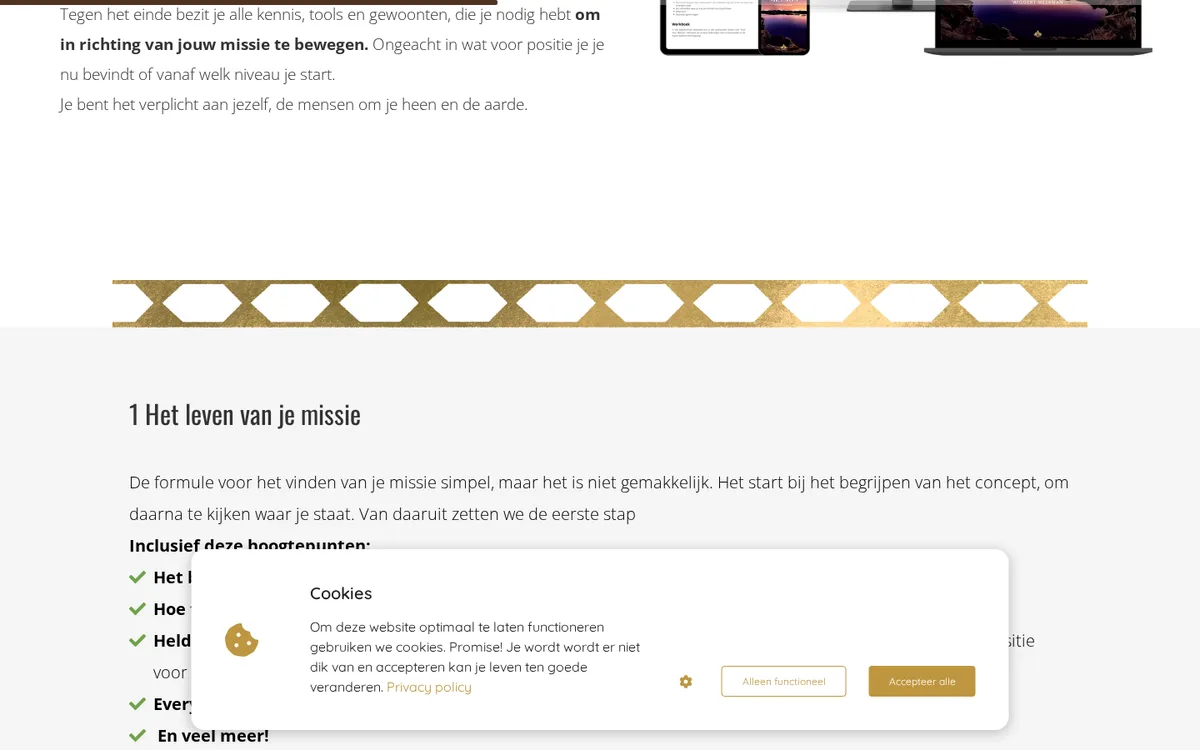 Find Your Mission — inhoud en opbouw van het programma
